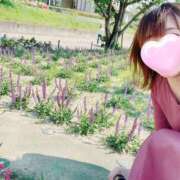 ヒメ日記 2025/05/30 16:33 投稿 丸山 ゆうき 人妻セレブ宮殿