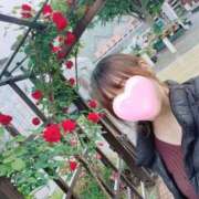 ヒメ日記 2025/06/05 20:05 投稿 丸山 ゆうき 人妻セレブ宮殿