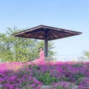 ヒメ日記 2025/06/13 18:15 投稿 丸山 ゆうき 人妻セレブ宮殿