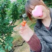 ヒメ日記 2025/06/13 23:15 投稿 丸山 ゆうき 人妻セレブ宮殿