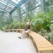 ヒメ日記 2025/06/14 15:22 投稿 丸山 ゆうき 人妻セレブ宮殿