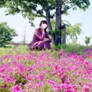 ヒメ日記 2025/06/22 15:15 投稿 丸山 ゆうき 人妻セレブ宮殿