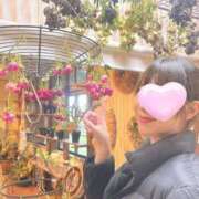 ヒメ日記 2025/06/24 14:43 投稿 丸山 ゆうき 人妻セレブ宮殿