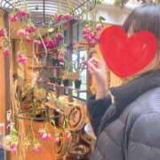 ヒメ日記 2025/06/24 17:15 投稿 丸山 ゆうき 人妻セレブ宮殿