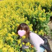 ヒメ日記 2025/06/26 16:30 投稿 丸山 ゆうき 人妻セレブ宮殿