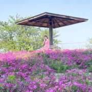 ヒメ日記 2025/06/27 11:00 投稿 丸山 ゆうき 人妻セレブ宮殿