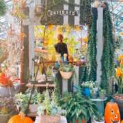 ヒメ日記 2025/10/10 11:08 投稿 丸山 ゆうき 人妻セレブ宮殿