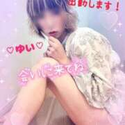 ヒメ日記 2025/04/30 18:15 投稿 ゆい 僕の◯◯なお姉さん、お貸しします