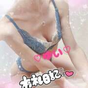 ヒメ日記 2025/05/17 11:35 投稿 ゆい 僕の◯◯なお姉さん、お貸しします