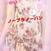 ヒメ日記 2025/05/24 13:27 投稿 ゆい 僕の◯◯なお姉さん、お貸しします