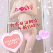 ヒメ日記 2025/05/27 09:35 投稿 ゆい 僕の◯◯なお姉さん、お貸しします