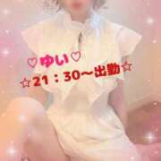 ヒメ日記 2025/05/27 17:45 投稿 ゆい 僕の◯◯なお姉さん、お貸しします