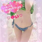 ヒメ日記 2025/05/28 23:25 投稿 ゆい 僕の◯◯なお姉さん、お貸しします