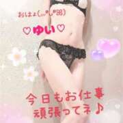 ヒメ日記 2025/06/04 07:05 投稿 ゆい 僕の◯◯なお姉さん、お貸しします