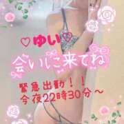 ヒメ日記 2025/06/09 19:55 投稿 ゆい 僕の◯◯なお姉さん、お貸しします