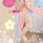 ヒメ日記 2025/06/10 03:33 投稿 ゆい 僕の◯◯なお姉さん、お貸しします