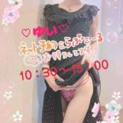 ヒメ日記 2025/06/10 10:25 投稿 ゆい 僕の◯◯なお姉さん、お貸しします