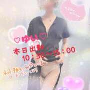 ヒメ日記 2025/06/12 09:18 投稿 ゆい 僕の◯◯なお姉さん、お貸しします