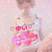 ヒメ日記 2025/06/14 03:05 投稿 ゆい 僕の◯◯なお姉さん、お貸しします