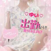 ヒメ日記 2025/06/21 14:05 投稿 ゆい 僕の◯◯なお姉さん、お貸しします