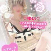 ヒメ日記 2025/06/23 18:35 投稿 ゆい 僕の◯◯なお姉さん、お貸しします