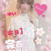 ヒメ日記 2025/06/25 10:06 投稿 ゆい 僕の◯◯なお姉さん、お貸しします