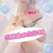 ヒメ日記 2025/06/27 20:05 投稿 ゆい 僕の◯◯なお姉さん、お貸しします