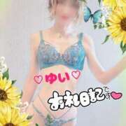 ヒメ日記 2025/07/03 11:40 投稿 ゆい 僕の◯◯なお姉さん、お貸しします