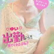 ヒメ日記 2025/07/03 15:25 投稿 ゆい 僕の◯◯なお姉さん、お貸しします