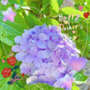 ヒメ日記 2025/05/11 08:25 投稿 ゆきな 脱がされたい人妻 町田・相模原店