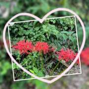 ヒメ日記 2025/10/07 23:42 投稿 ゆきな 脱がされたい人妻 町田・相模原店