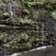 ヒメ日記 2026/01/23 23:25 投稿 ゆきな 脱がされたい人妻 町田・相模原店