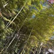 ヒメ日記 2026/04/05 06:34 投稿 こはる しゃんぜりぜ