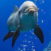 ヒメ日記 2025/11/13 16:33 投稿 九条(くじょう) 八王子人妻城