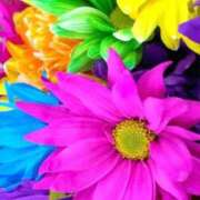 ヒメ日記 2025/11/28 19:03 投稿 九条(くじょう) 八王子人妻城