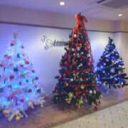 ヒメ日記 2025/12/14 20:39 投稿 九条(くじょう) 八王子人妻城