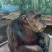 ヒメ日記 2026/01/16 12:03 投稿 九条(くじょう) 八王子人妻城