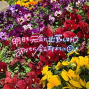 ヒメ日記 2025/05/10 20:02 投稿 ゆきな 大宮逆マッサージ