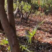 ヒメ日記 2026/04/17 15:58 投稿 ゆきな 大宮逆マッサージ