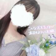 ヒメ日記 2025/07/15 08:54 投稿 そら 新潟風俗 Cherish Amulet