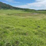 ヒメ日記 2025/06/09 08:48 投稿 ゆかり AVANCE福岡