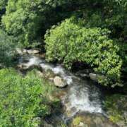 ヒメ日記 2025/06/23 07:16 投稿 ゆかり AVANCE福岡