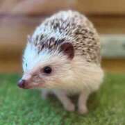 ヒメ日記 2025/07/19 12:31 投稿 ゆかり AVANCE福岡