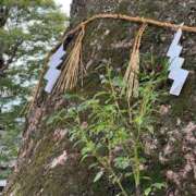 ヒメ日記 2025/09/23 09:58 投稿 ゆかり AVANCE福岡