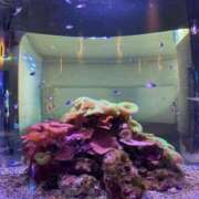 ヒメ日記 2025/09/24 10:02 投稿 ゆかり AVANCE福岡