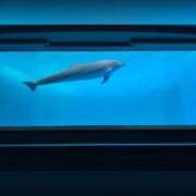 ヒメ日記 2025/10/08 12:34 投稿 ゆかり AVANCE福岡