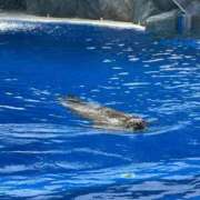 ヒメ日記 2025/11/07 08:42 投稿 ゆかり AVANCE福岡