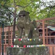 ヒメ日記 2025/11/08 23:00 投稿 ゆかり AVANCE福岡