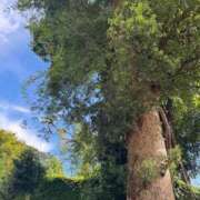 ヒメ日記 2025/11/13 08:27 投稿 ゆかり AVANCE福岡