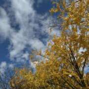 ヒメ日記 2025/11/30 10:00 投稿 ゆかり AVANCE福岡